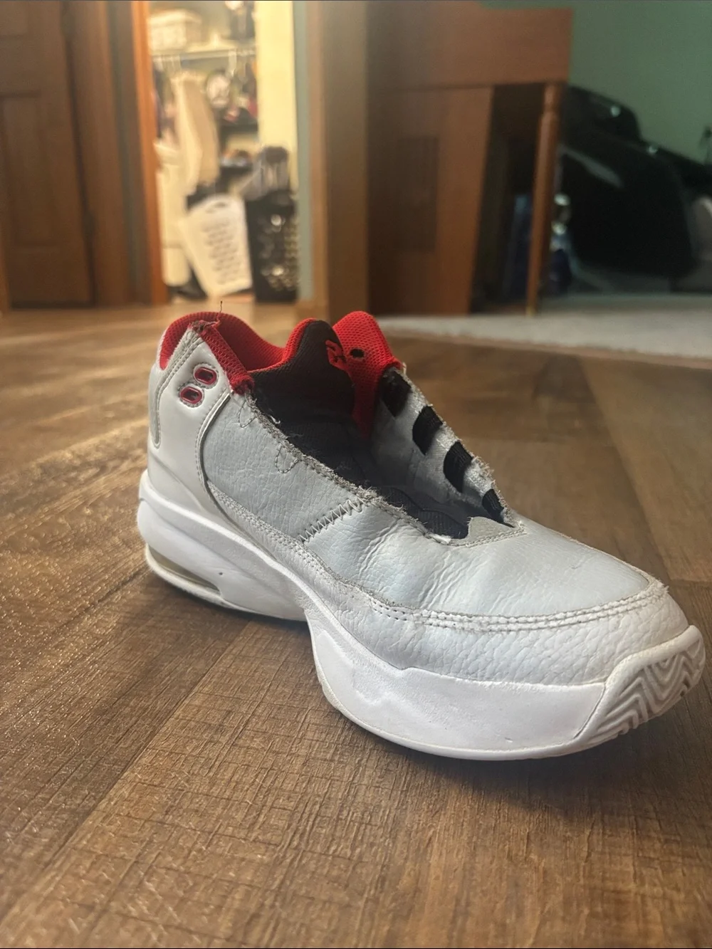 Jordan iconic design